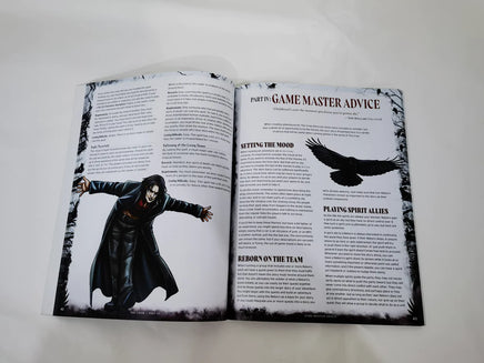 Everyday Heroes:  The Crow Cinematic Adventure - Campaign Supplies