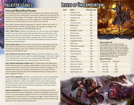 D&D Waterdeep Dungeon of the Mad Mage DM Screen - Campaign Supplies