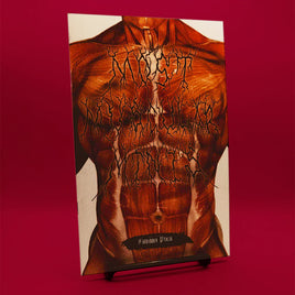 Most Muscular Minis